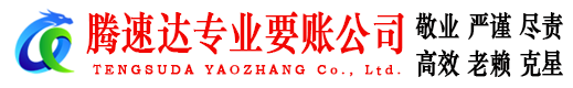 迎江腾速达清债公司